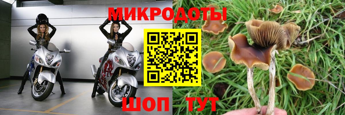 Галлюциногенные грибы Psilocybe  Вход с VPN  Менделеевск 